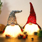 🧙‍♂Christmas Glowing Gnome
